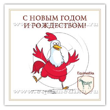 С Новым годом и Рождеством!