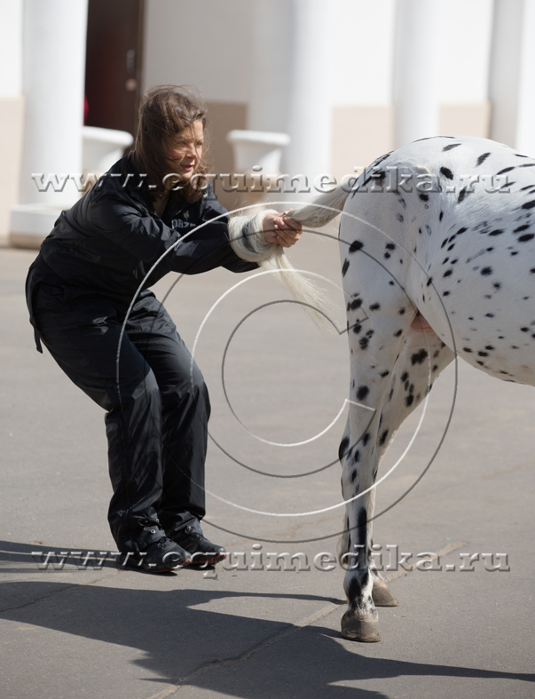 ART_0699 copy.jpg