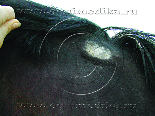 DSCN9669.jpg