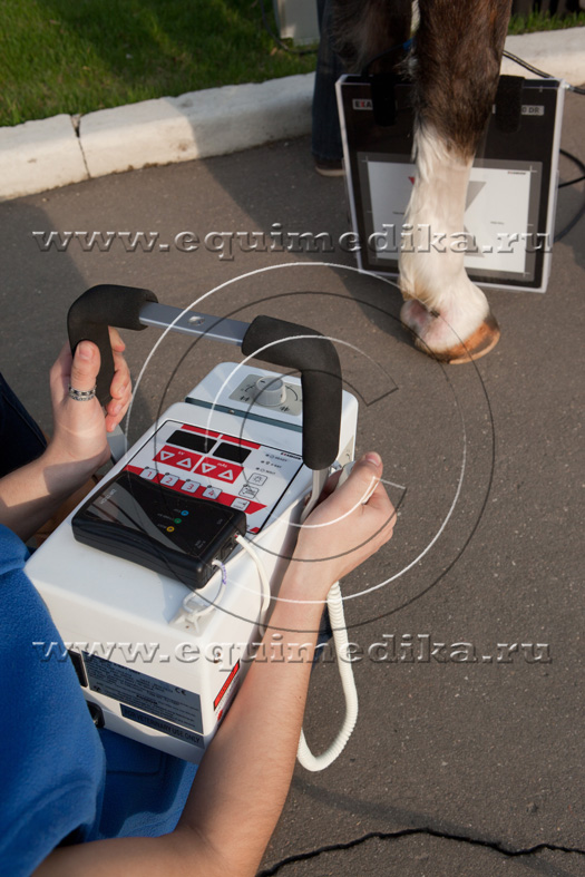 IMG_1531 copy.jpg