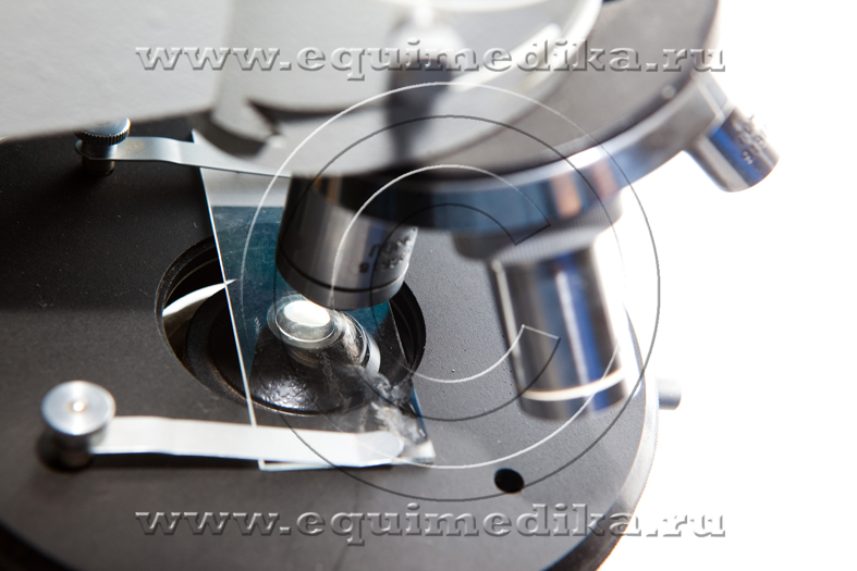 IMG_7159 copy.jpg