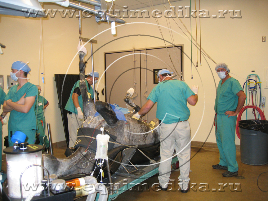 IMG_3384 copy.jpg