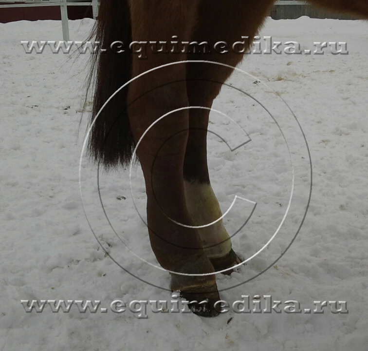 20150213_104724_2 copy.jpg