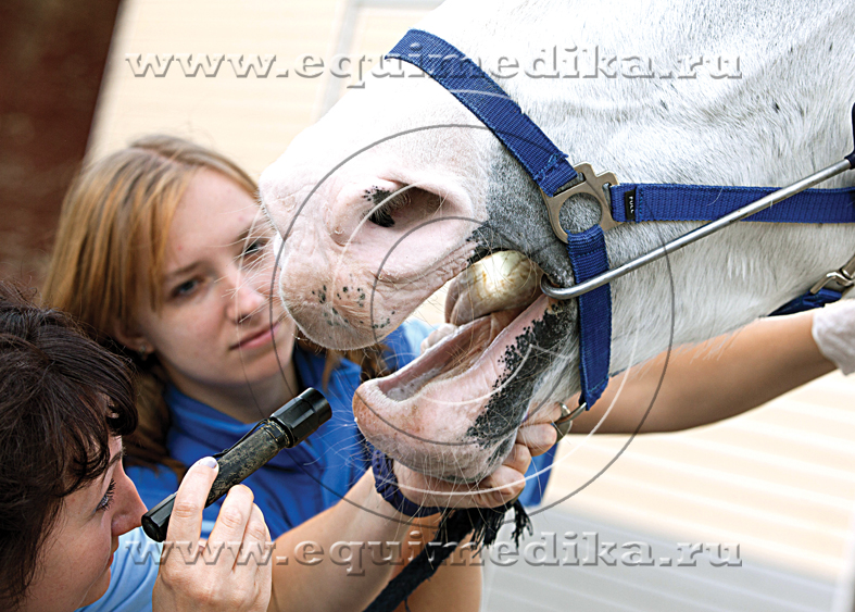 IMG_7700 copy.jpg