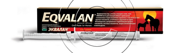 Equalan.jpg