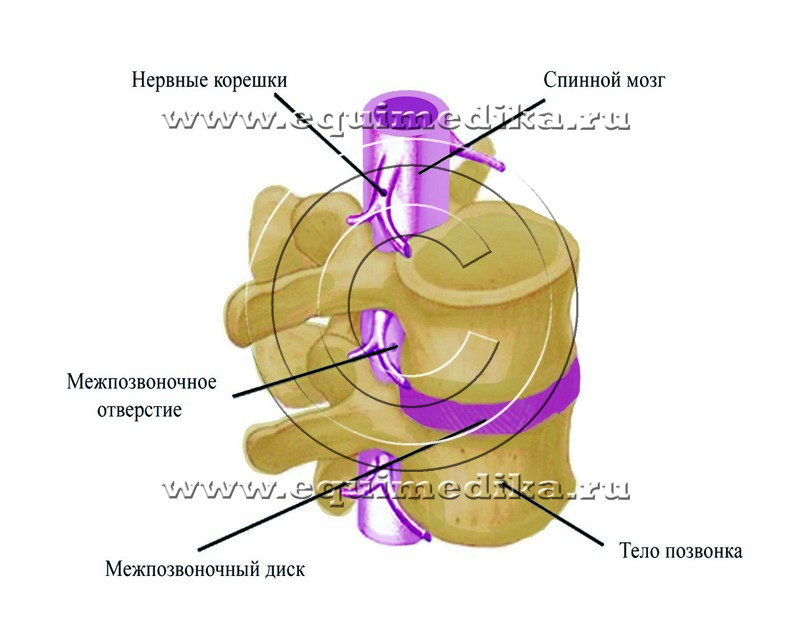 рис 2.jpg