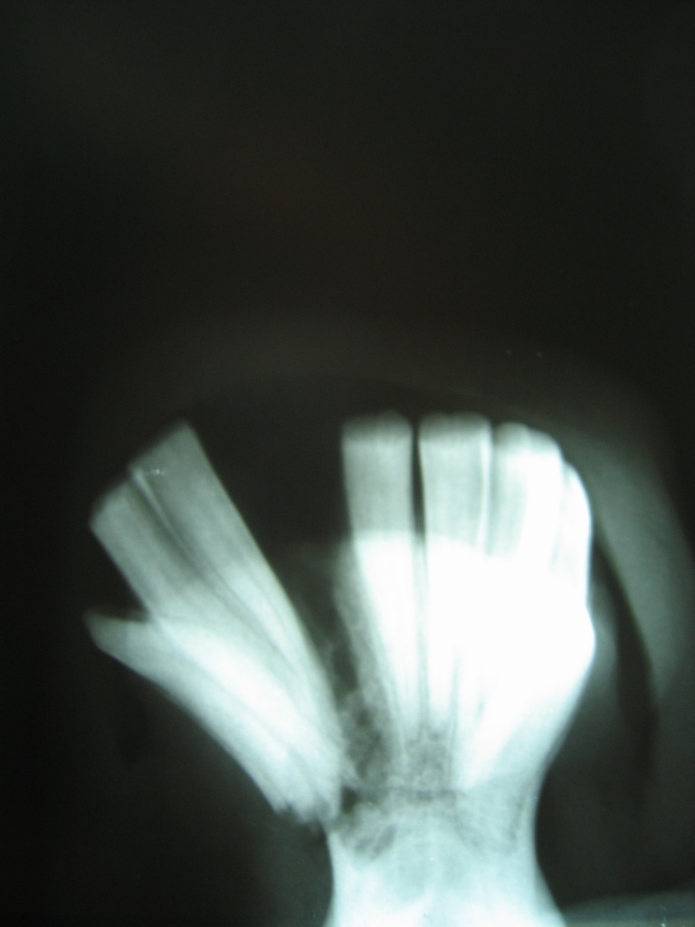 160_6066.JPG