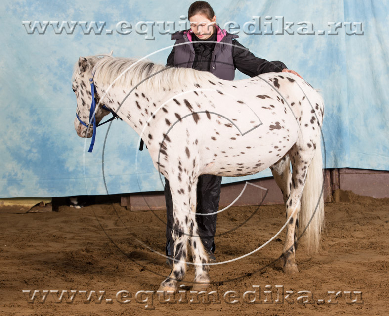 ART_1314_1.jpg