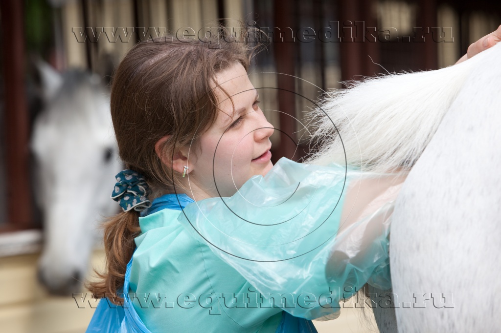 IMG_7891 copy.jpg