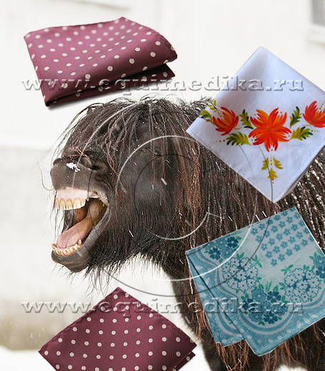 лошадь и платки.jpg