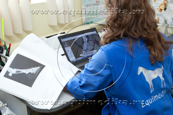 IMG_7892 copy.jpg