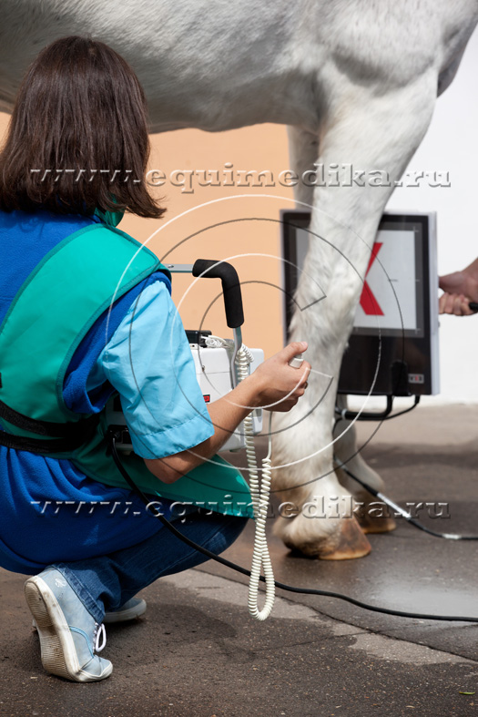 IMG_7852 copy.jpg