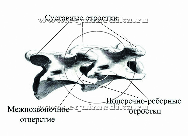 рис 3.jpg
