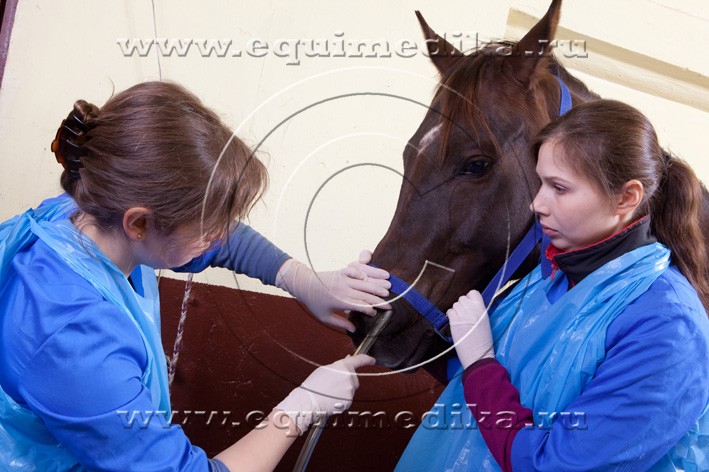 IMG_9011 copy.jpg