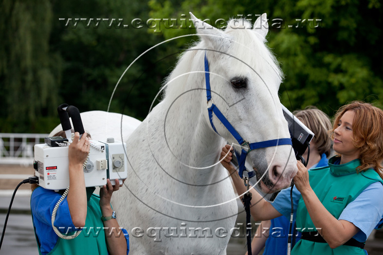 IMG_7814 copy.jpg