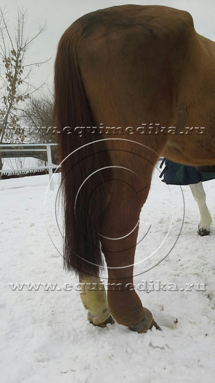 20150213_104819 copy.jpg